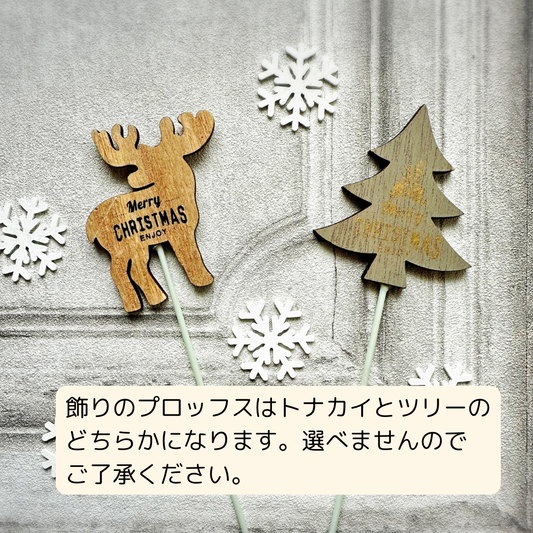 クリスマス限定オーガニックダイパーケーキ(おむつケーキ)